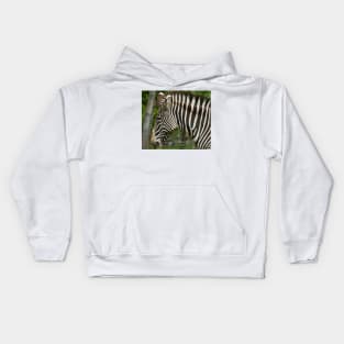 Zebra Head shot Kids Hoodie